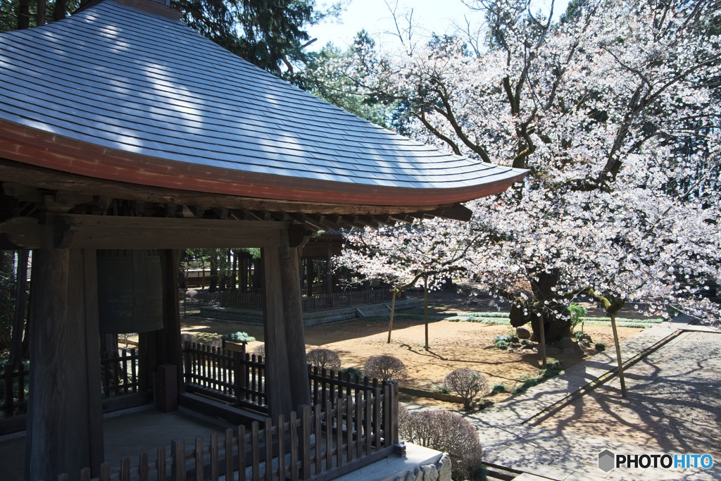廣園寺の鐘楼