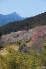 顔振峠