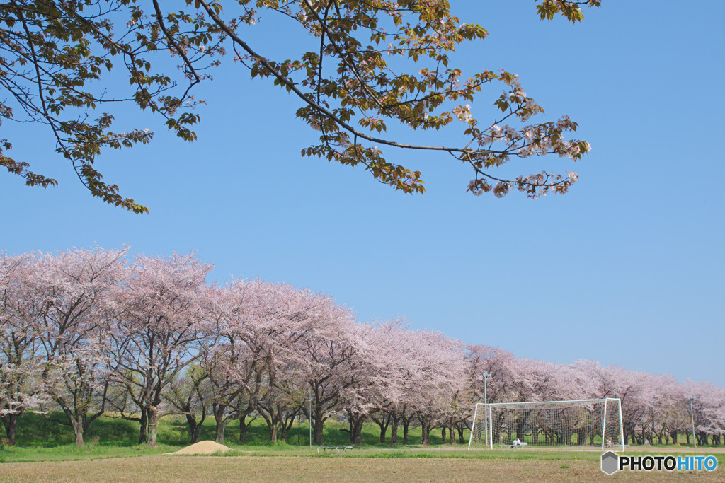 川越水上公園