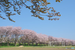 川越水上公園