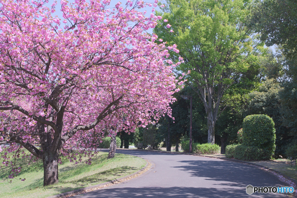 川越運動公園