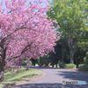 川越運動公園
