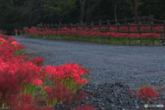 押堀川水辺広場