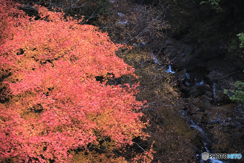 雁坂大橋から