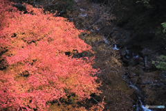 雁坂大橋から