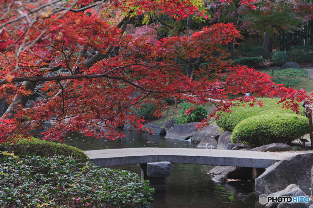 大田黒公園