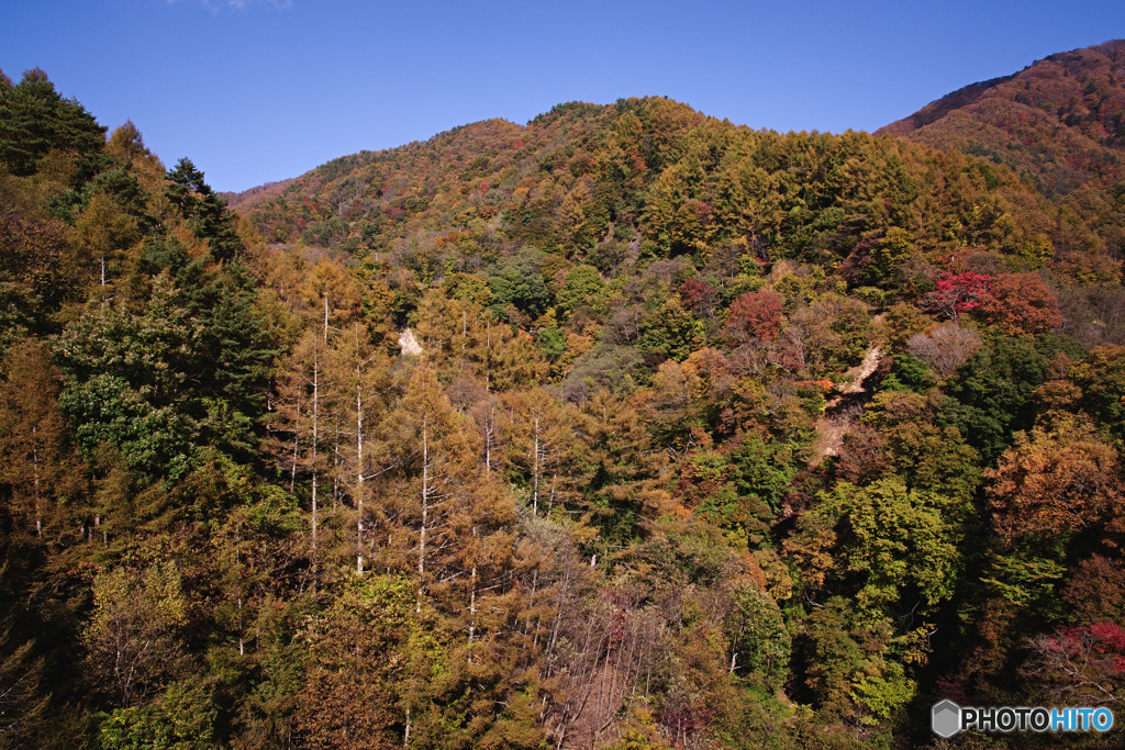 高芝大橋