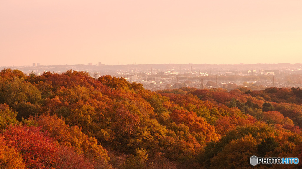 六道山公園からの紅葉