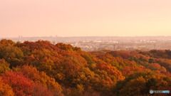 六道山公園からの紅葉