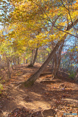 日向山
