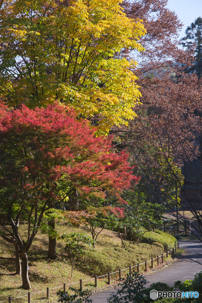 釜の淵公園