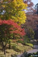 釜の淵公園