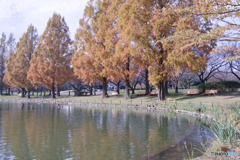 川越水上公園