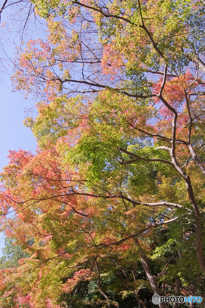 深大寺