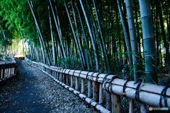 竹林公園