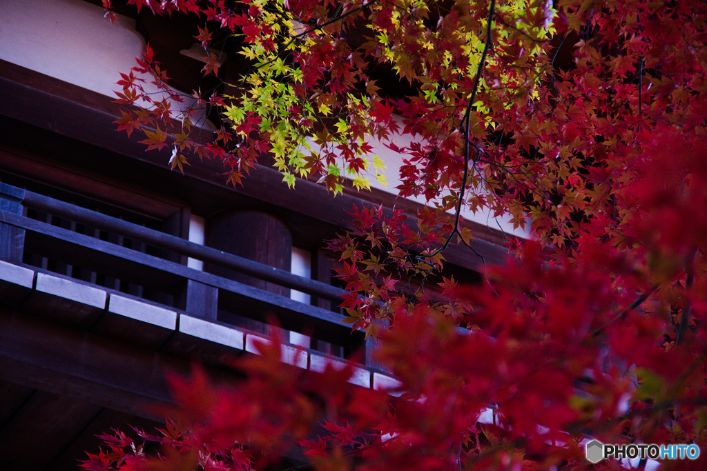 青紅