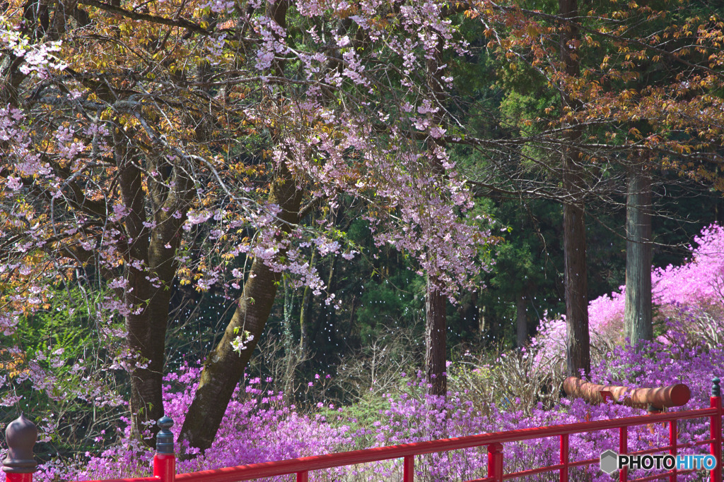 今熊神社