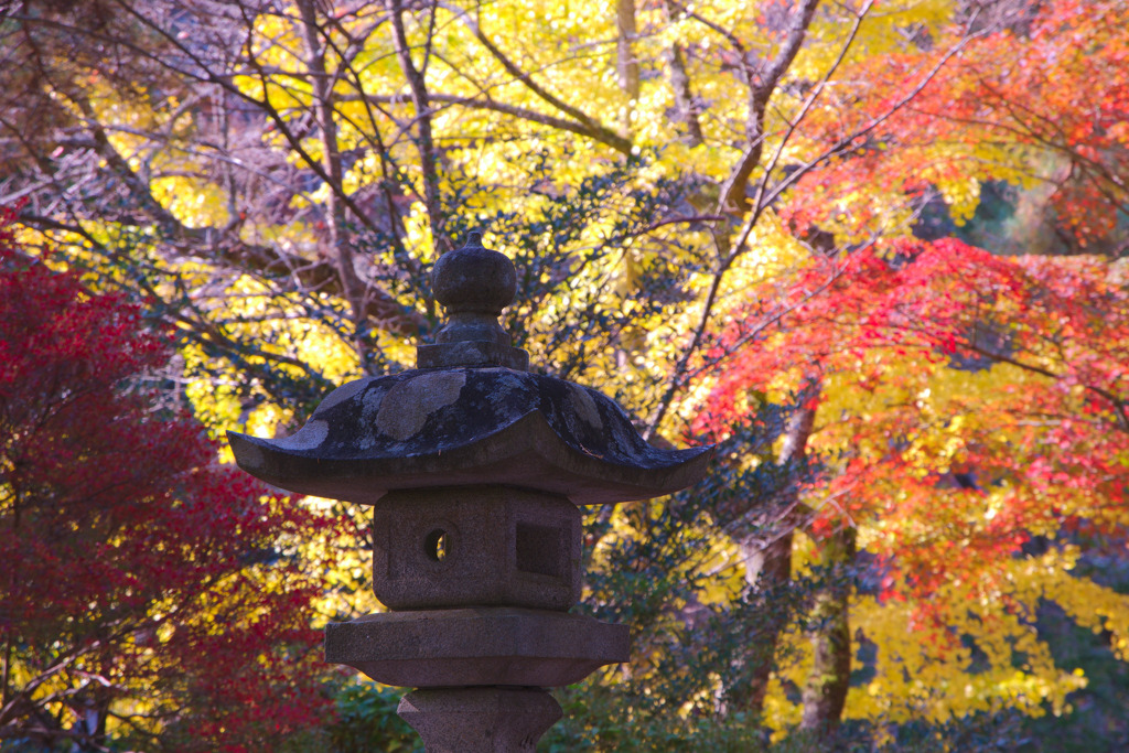 小河内神社