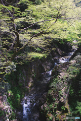 檜原村、橘橋