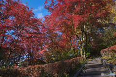 ブリヂストン奥多摩園