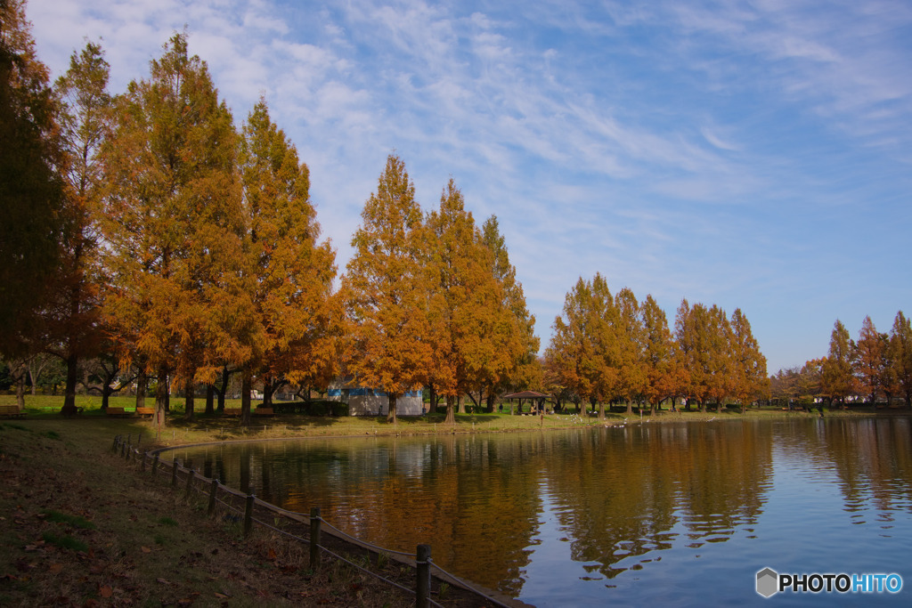 川越水上公園