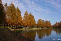 川越水上公園