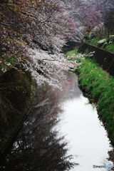 曇り