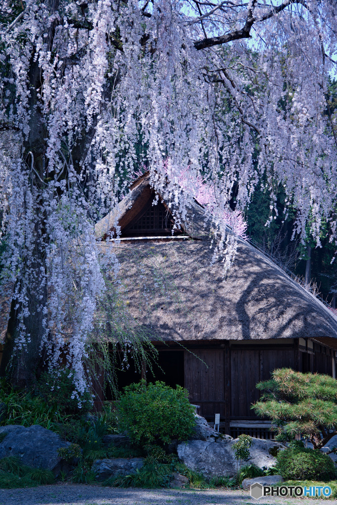 Japonisme