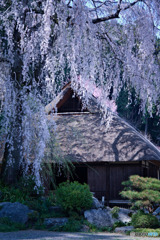 Japonisme