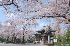 高倉寺