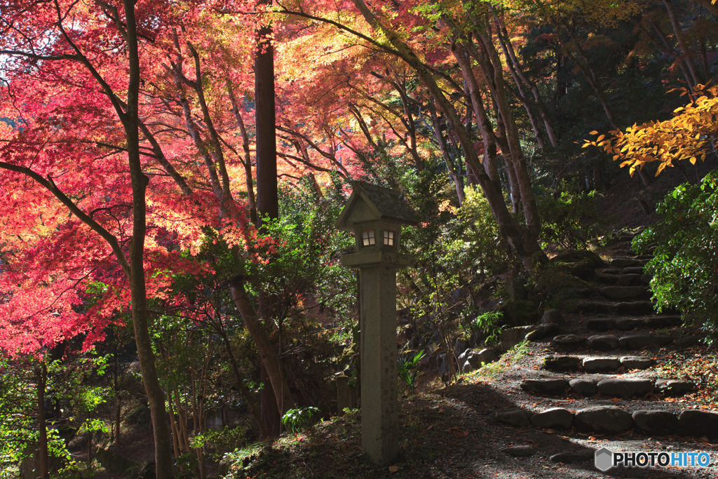 東郷公園