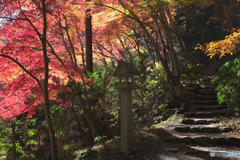 東郷公園