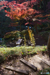殿ヶ谷戸庭園