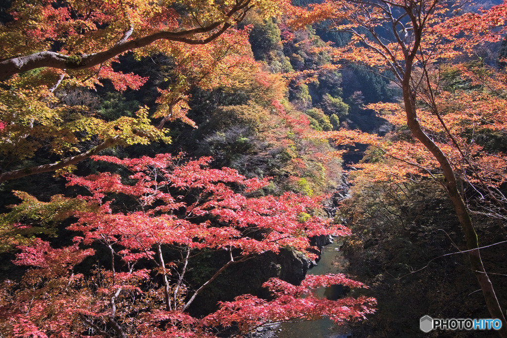 金蔵落としの渓流