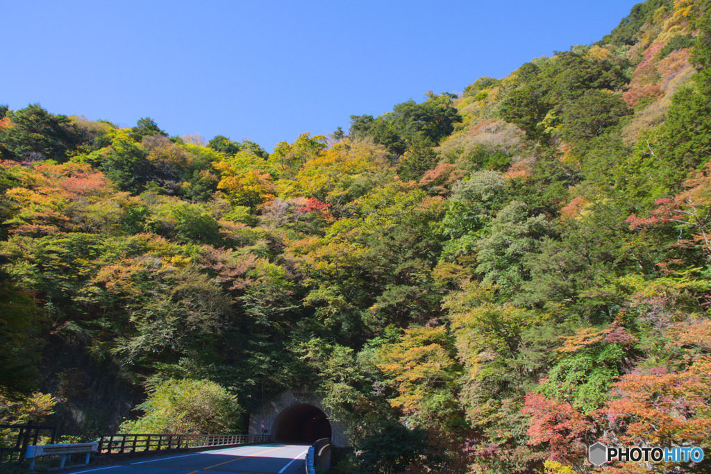 羽根戸トンネル