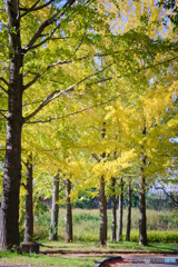 川越水上公園