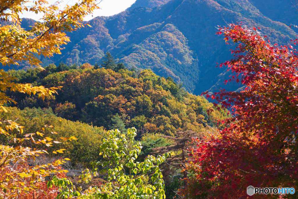 日向山