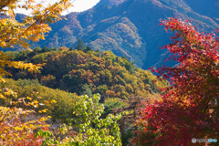 日向山