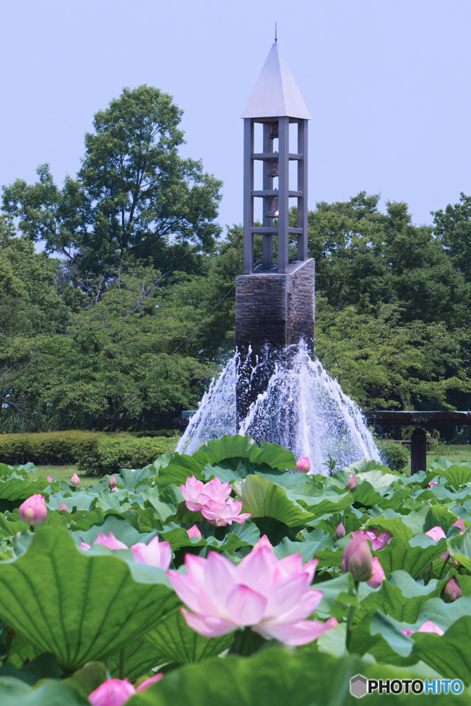 平成の森公園