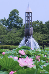 平成の森公園
