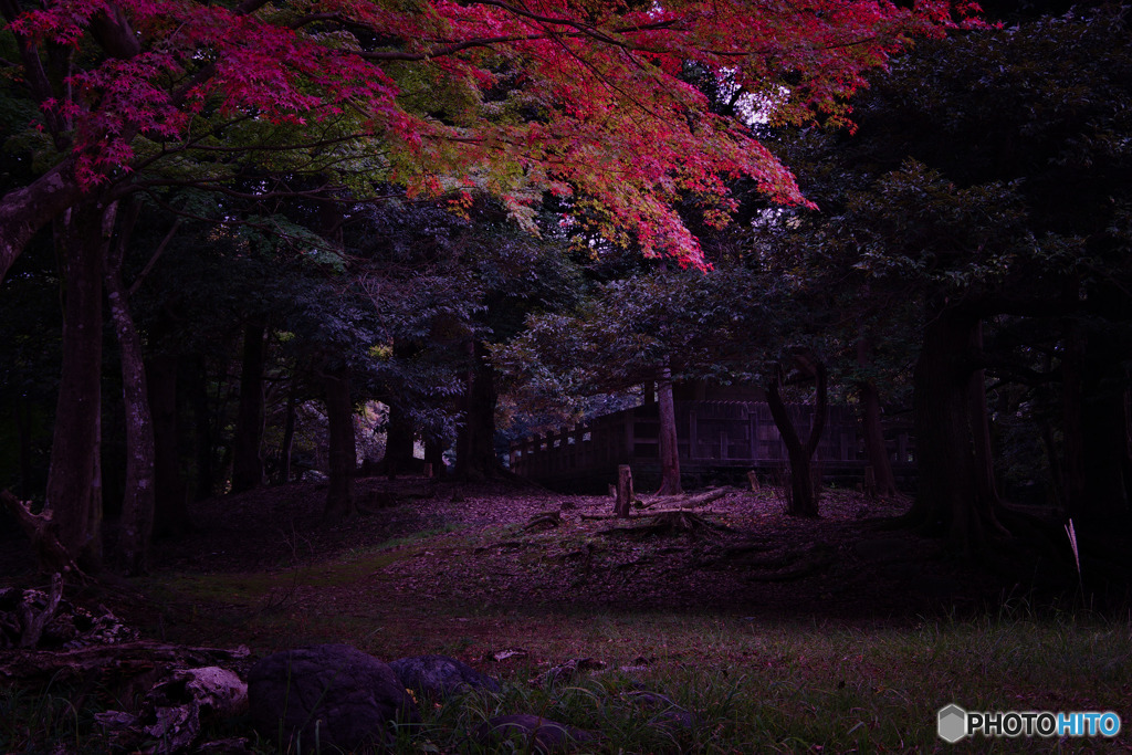 玉湖神社と紅葉