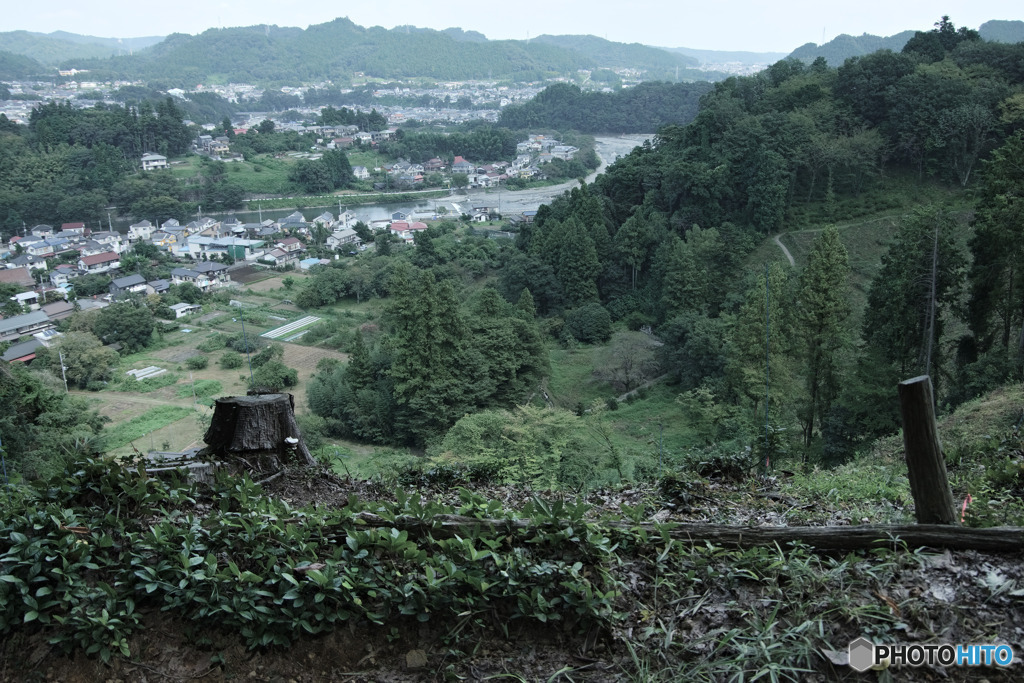 広徳寺から