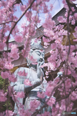 多聞寺の観音像