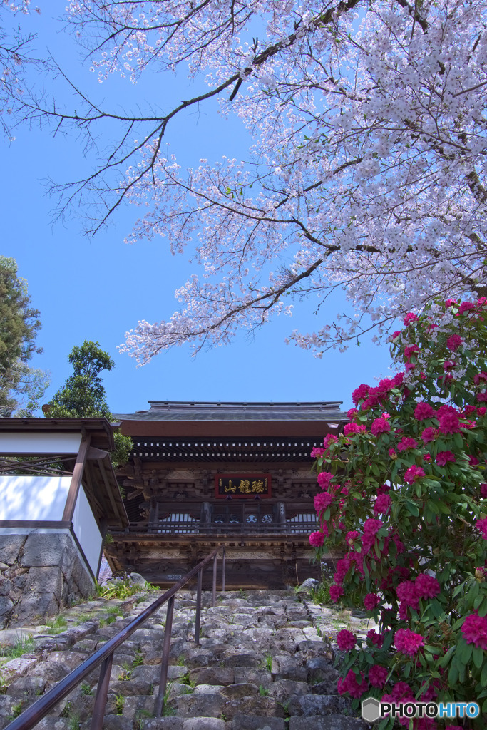 海禅寺