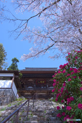 海禅寺
