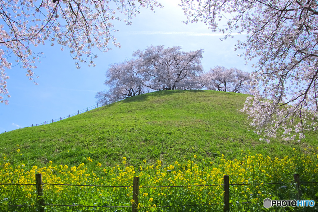 さきたま古墳公園