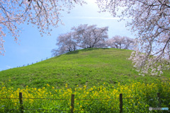 さきたま古墳公園
