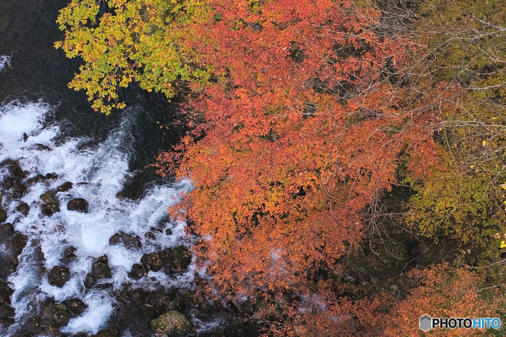 しだくら橋から