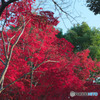 上尾丸山公園