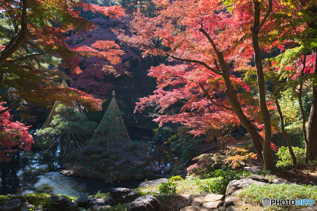 殿ヶ谷戸庭園